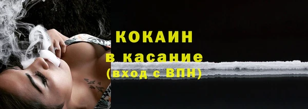 соль ск Алексин