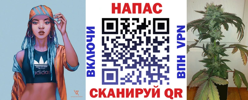 Шишки марихуана MAZAR Беломорск